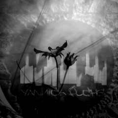 Yannick Fuchs - Past (Free Download)