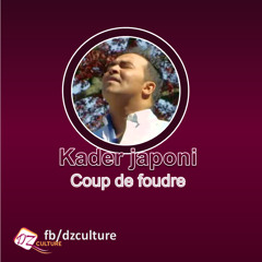 DZculture - Kader japoni - Coup De Foudre