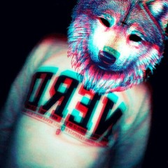 HACK THE GALAXY (MARTINS) at GERMANY