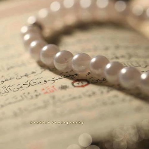 الشيخ حاتم