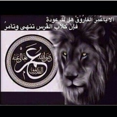 بو شيخة at هلا