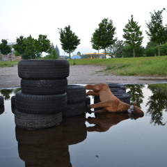 Die Zukunft - winstonAFA & Meester Henning