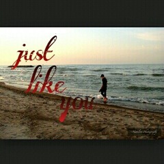 Just Like You