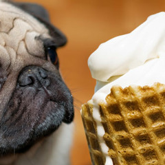 Creep Talk with James Shahan, Ep. 1 - "Ice Cream"