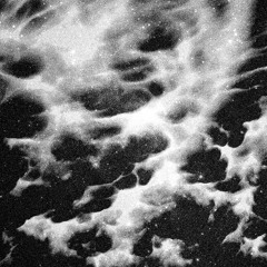 TPN001  Shlømo - The Harvest EP