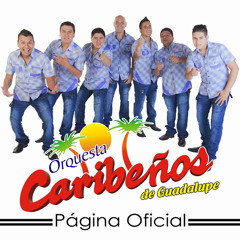 1OO Me Extrañarás - Caribeños De Guadalupe (JOtaMiix Live 2O14)