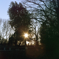 late-summer sun
