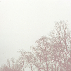 blinded