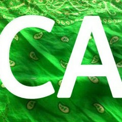 CAS CA 298