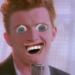 Never Gonna Pootis You Up