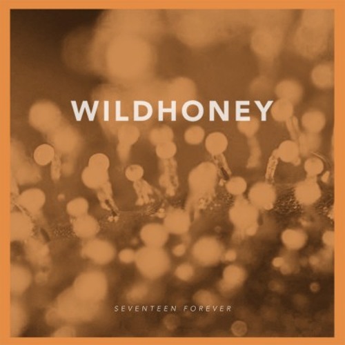 Wildhoney - Seventeen