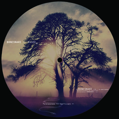Bonesnake - Bs100 incl. Formlessness & Coefficient rmxs