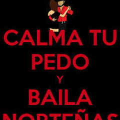 Un Mix De Puras Nortenitas