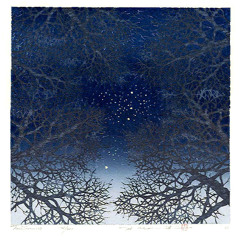 All along the worm hole