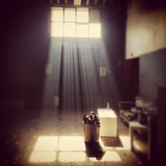 DAVID EASY HOUSE 90 (vinyl set)