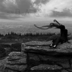 Premiere: BARLI - Pebbles