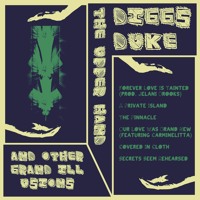Diggs Duke - Secrets Seem Rehearsed