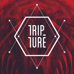 Tripture - Lines (demo song from Ortus EP)