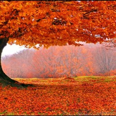 Abbey Lincoln - Dorian (The Man With The Magic)