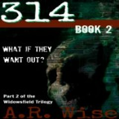 314, Book 2 by A. R. Wise, Narrated by Vanessa Johansson