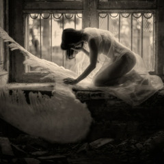 Wings Clipped
