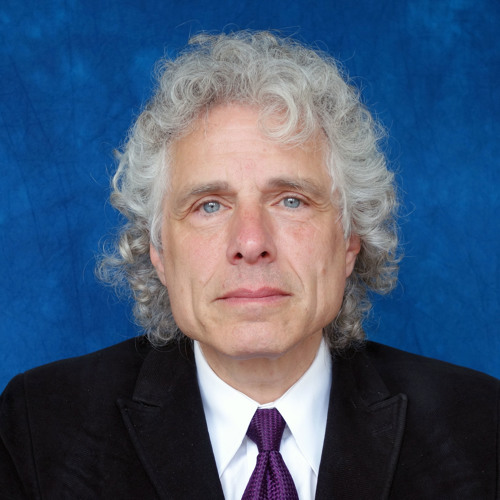 Steven Pinker - Writing In The 21st Century [6.9.14]