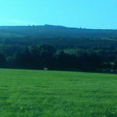 Johnny cash I hung my head cover