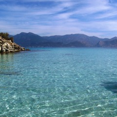 Gého - A la Tomme Corse - Tribe mental