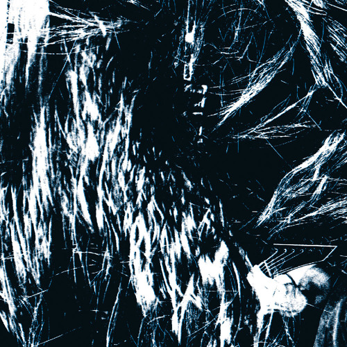 brutal-blues-skjold