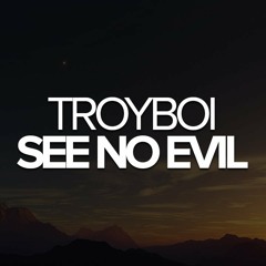 TroyBoi - See No Evil