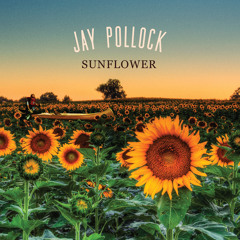 Jay Pollock - Sunflower