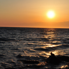 Frédéric François Chopin - Op.28 No.15, Prelude in D-flat