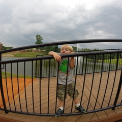 Dragon (Sounds From the Lair) June 2014