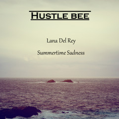 Summertime Sadness (Hustle Bee Remix)
