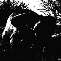 Rain in the Wintertime Pt.2 (Guitar Tracks)