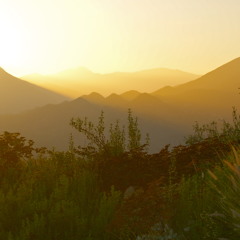 people need love (slide)