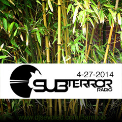 Bamboo on SUBterror Radio 4/27/14 (Hour 2)