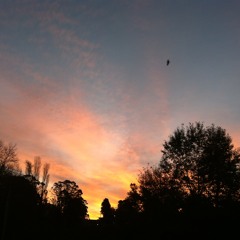 Mesopotamia (CGDA) mix 6.6.14