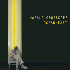 Harald Grosskopf "Oceanheart" (snippets) Reissue out Aug 22, 2014