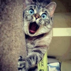 รักในซีเมเจอร์ พองพอง