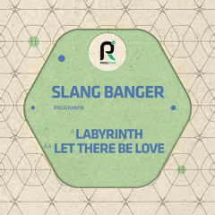 Slang Banger - Labyrinth (Friction play 08/06/14)
