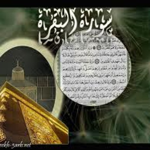سورة البقرة - تلاوة حجازية ش.د. محمد أيوب
