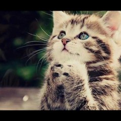 حسبي رضاك .. طــــوبار