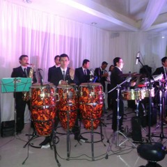 ME SOBRAN LAS PALABRAS Y BUSCANDO TUS BESOS