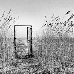 حرفی بزن سلام نوش لیموی گس-سید علی صالحی-دکلمه رضا پیربادیان