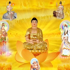 66 Câu Phật Học - Tonyvo000
