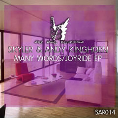 Andy Kinghorn - Skyler - Joyride - Many Words SAR014 EP
