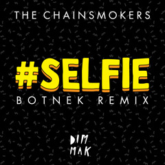 The Chainsmokers - #SELFIE (Botnek Remix)