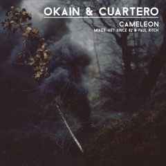 Okain & Cuartero - Cameleon (Paul Ritch Remix)