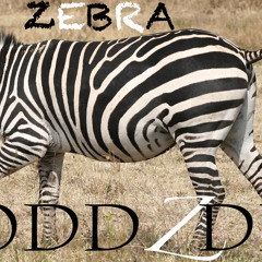 Zebra (Prod. by EmptyBeatz)